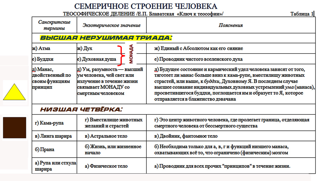 Особенности строения деления